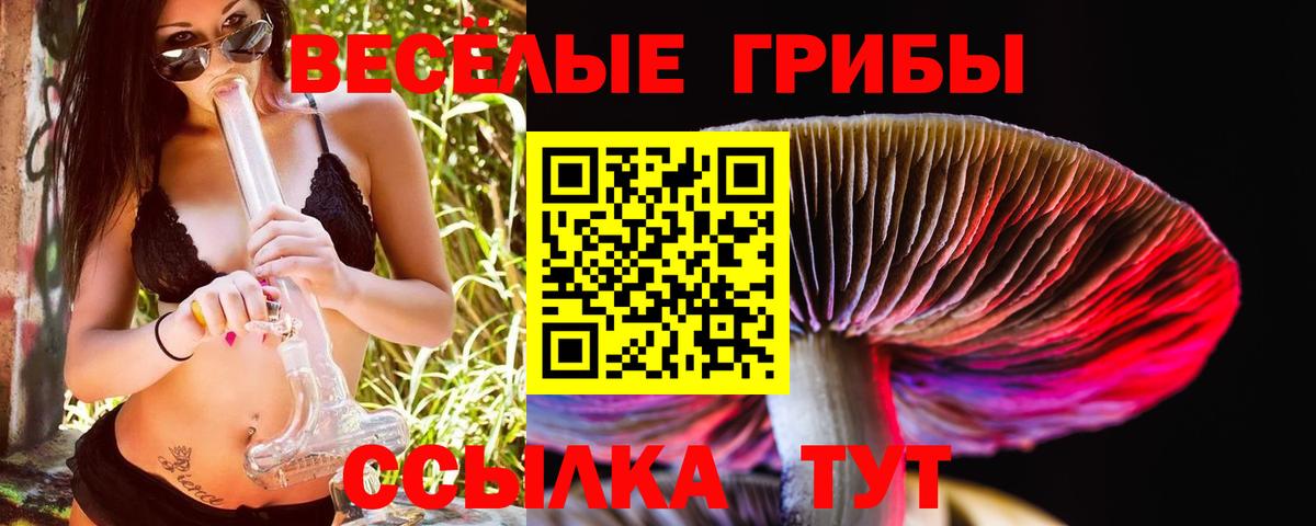 Галлюциногенные грибы Cubensis  Галлюциногенные грибы GOLDEN TEACHER  Вход с VPN  Мытищи 